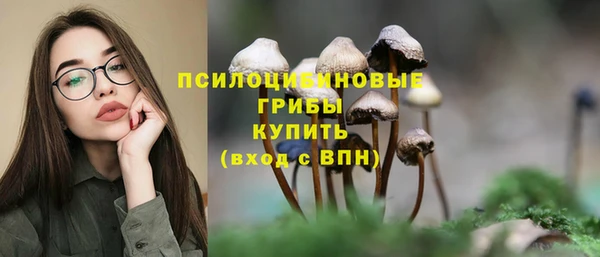 кокаин премиум Краснослободск