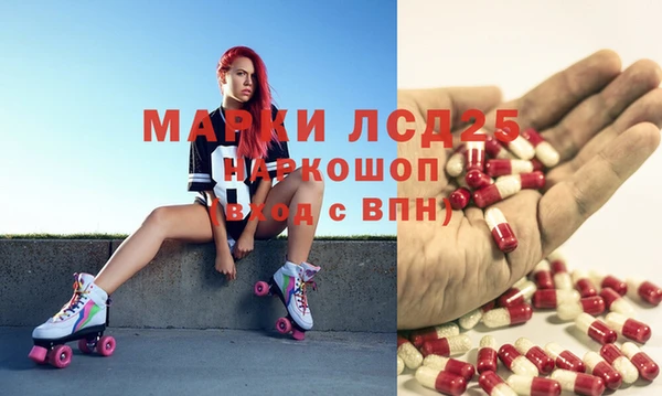 ECSTASY Коряжма