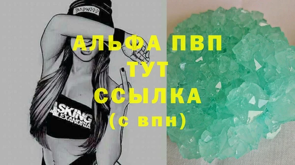ECSTASY Коряжма