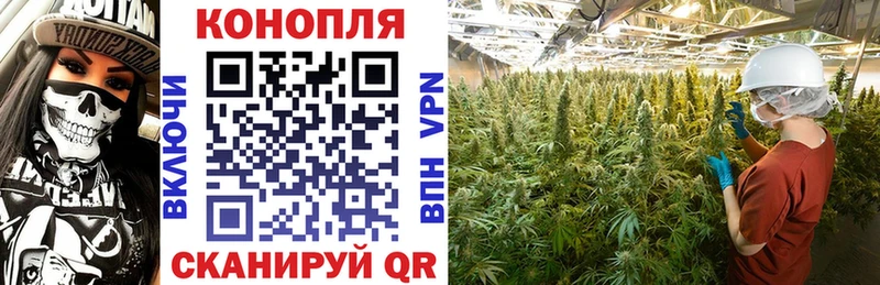 Купить закладки  Мариинск  Бошки Шишки SATIVA & INDICA 